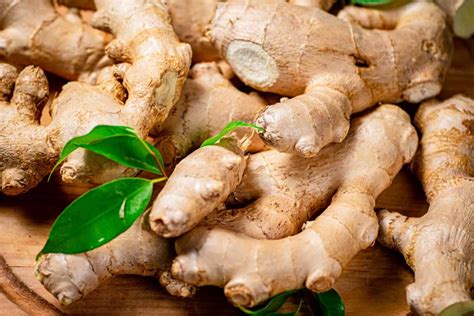 Comprehensive Guide to Ginger Farming: Cultivation, Fertilizer Schedule ...