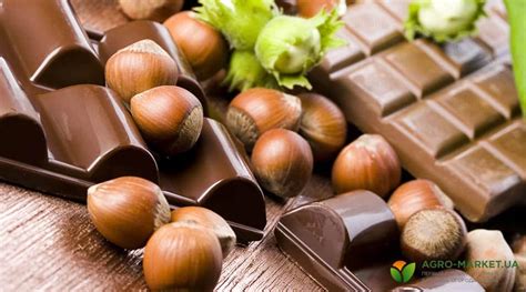 Посадка фундука: выращивание и уход за фундуком – Agro-Market