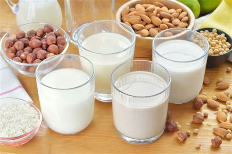 Qual Melhor Leite Para Dieta - Bebidas para fazer a dieta funcionar melhor - Tudo Dietas