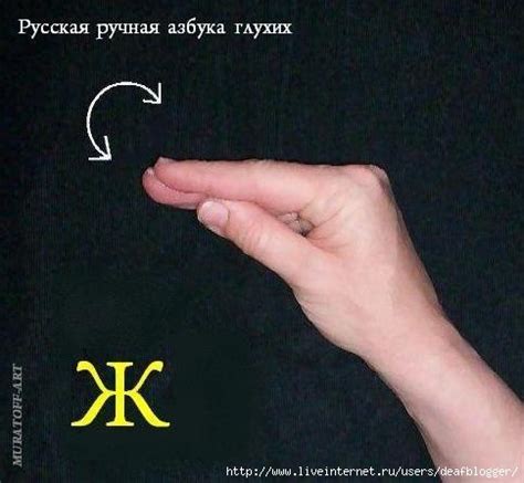 Русская ручная (пальцевая, дактильная) азбука глухих (глухонемых ...