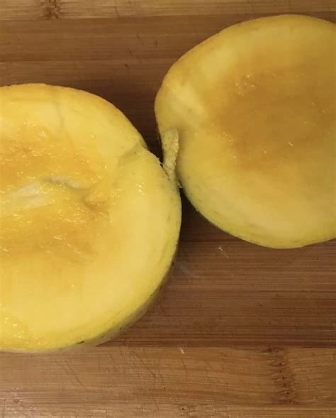Edward Mango Grow Guide - Tropical Tree Guide