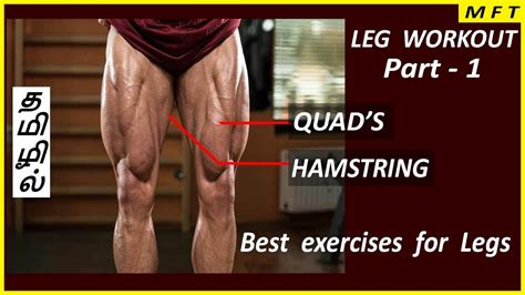 exercises  build strong legs quads hamstrings leg
