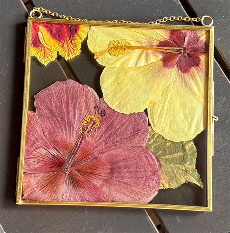 pressed hibiscus flower frame gold accent hawaiian grown etsy