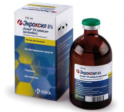 Препарат "Энроксил" для кошек: инструкция, аналоги и отзывы