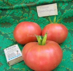 Томат Пинк Брендиуайн: ОТЗЫВЫ, фото, урожайность | tomatland.ru