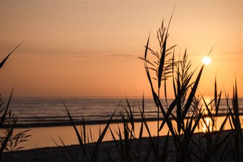 1,300+ Jurmala Beach Photos Stock Photos, Pictures & Royalty-Free ...