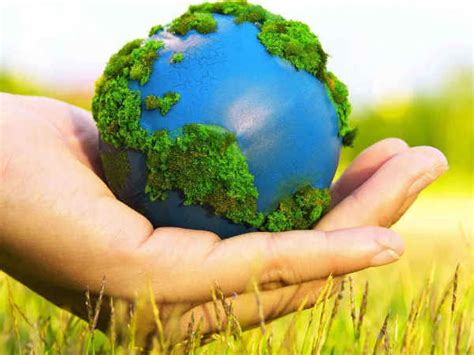 World Environment Day 2018: Are we doing enough to conserve nature ...