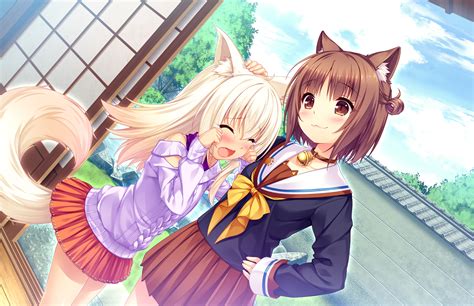 Neko Para Image by Sayori Nw #2513350 - Zerochan Anime Image Board