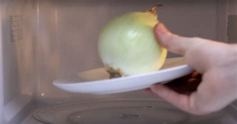 Лайфхаки для микроволновки