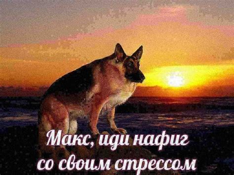 Цифровой прорыв: Окружной хакатон ЦФО. Неожиданная победа, как оно было ...