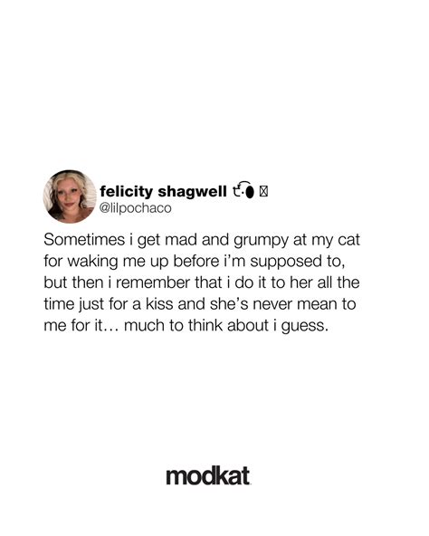 Modkat (@modkat) • Instagram photos and videos