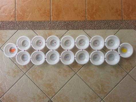 Aly's Blog: DIY Congkak (A Malaysian Traditional Game)