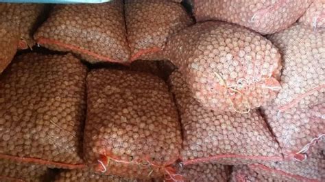 Dried Lychee Nuts/ Lychee Fruit Dried/ Fructus Litchi/ Lichee - Buy ...