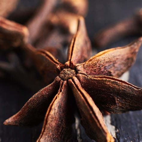 Illicium Verum Kitchen Splashback