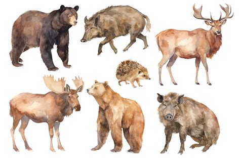 Forest Animals By An_Kle | TheHungryJPEG