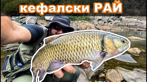 Риболов на кефал на река Арда. ГОЛЕМИ кефали и МОЩНИ УДАРИ. . Добре ...