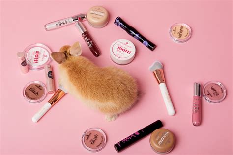 NO to animal testing! | Tierversuche, Beauty, Make up
