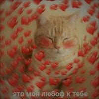 Sticker Maker - Сердечки №26