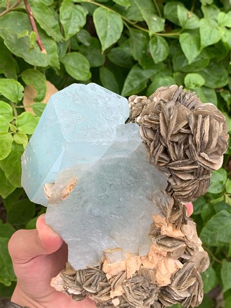 Aquamarine Crystals: Meaning, Healing Properties & Birthstone