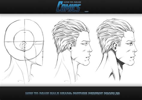 draw heads male profile  claytonbarton  deviantart