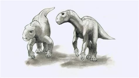 Cretaceous Paradise