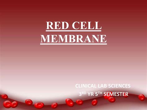 Red cell membrane | PPTX