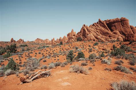desert landscape  rocks  plants   foreground photo