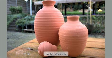 How to Use an Olla in Your Vegetable Garden - Live Life from Scratch