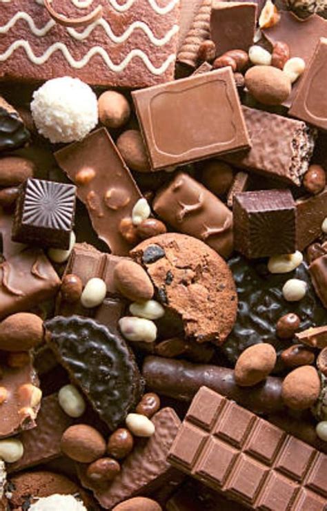 mumbais   chocolate haunts