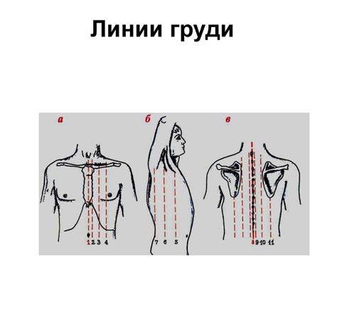 Топографическая анатомия. Оперативная хирургия грудной клетки - online ...