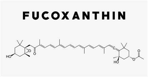 Fucoxanthin: Uses, Side Effects, Interactions, Dosage and Supplements