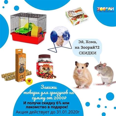 зоомагазины Зоорай в Тюмени - Home