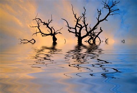 Slowly Sinking Photograph by Jerry McElroy | Pixels
