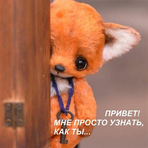 Pin by Kuznecov.70 Kuznecov.70 on Шутки | Good morning funny pictures ...
