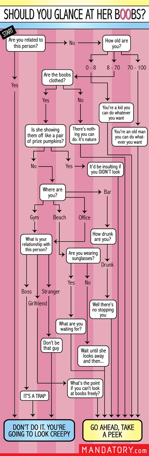 Should you glance at her boobs Flowchart - Meme Guy