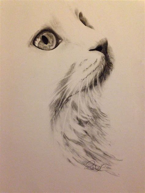 Charcoal Drawing Ideas Animals - Marjorie Wei