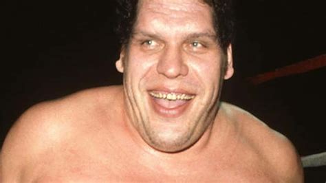 Download Andre The Giant Heavyweight Champion Wrestler Wallpaper ...