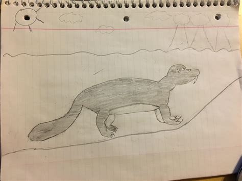 I made this as a speculative evolution for Tigers that live in Mangrove