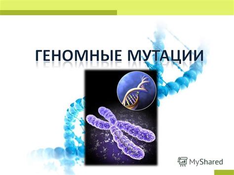 Презентация на тему: "Геномные мутации - это мутации, которые приводят ...