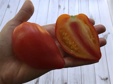 Томат Похвала Марины: описание сорта, ОТЗЫВЫ (6), фото | tomatland.ru