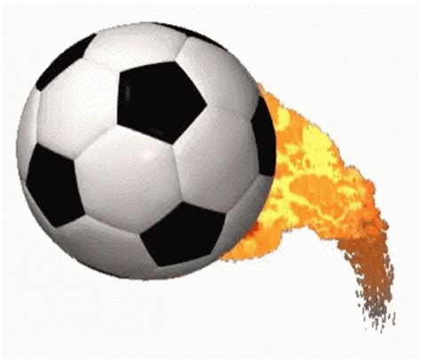 Soccer Fans Celebrating Gif at Douglas Nunez blog