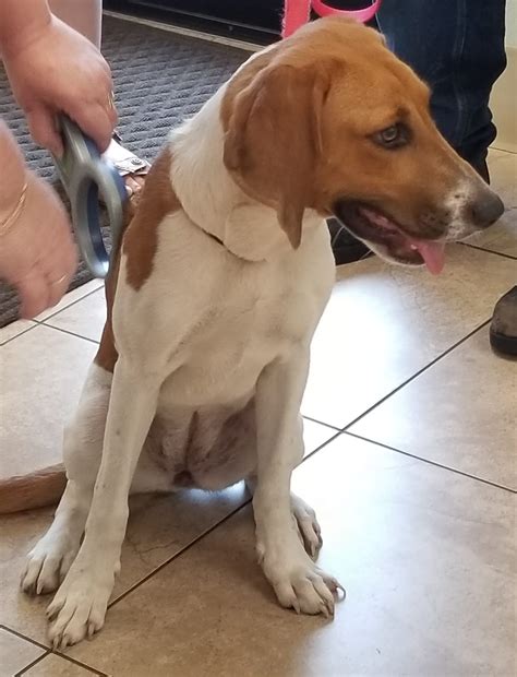 ***UPDATE... - Parkway Animal Hospital of Port St. John, LLC