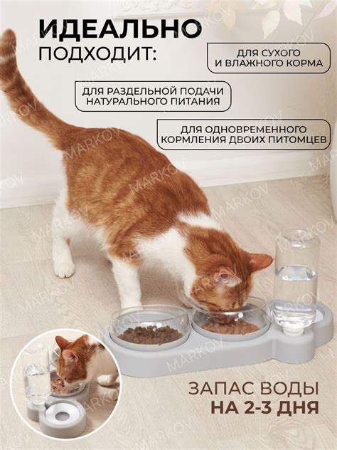 Миска для кошек собак, миски для кошек собак, для животных купить на ...