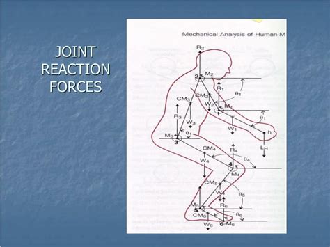 PPT - Biomechanics 2015 PowerPoint Presentation, free download - ID:288910