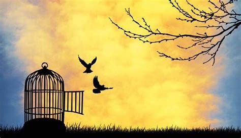 "Freedom Is Not Free" | Freedom images, Freedom, Forgiveness
