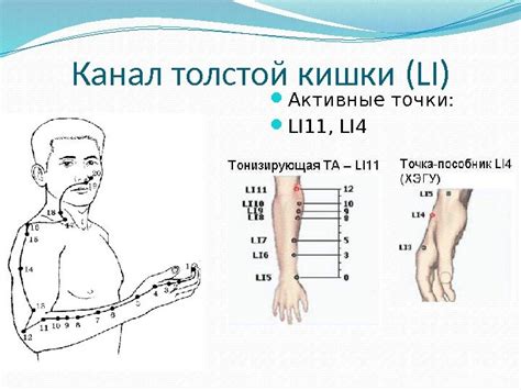 Рефлексотерапия. План. 1) Определения. a) Рефлексотерапия.