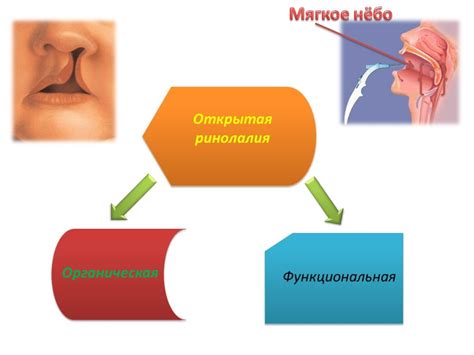 Презентация "Ринолалия.Открытая форма ринолалии" – скачать проект