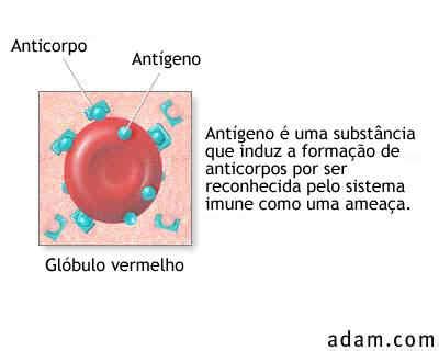 Imunologia: Antigenos e Imunogenos