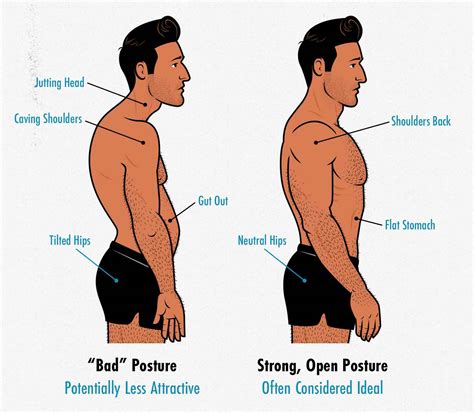 skinny guys guide  aesthetics   build  attractive physique