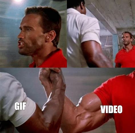 Мем: "GIF VIDEO" - Все шаблоны - Meme-arsenal.com